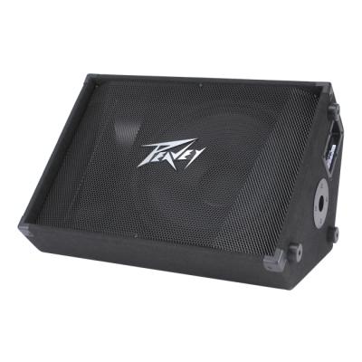 PEAVEY PV 15M